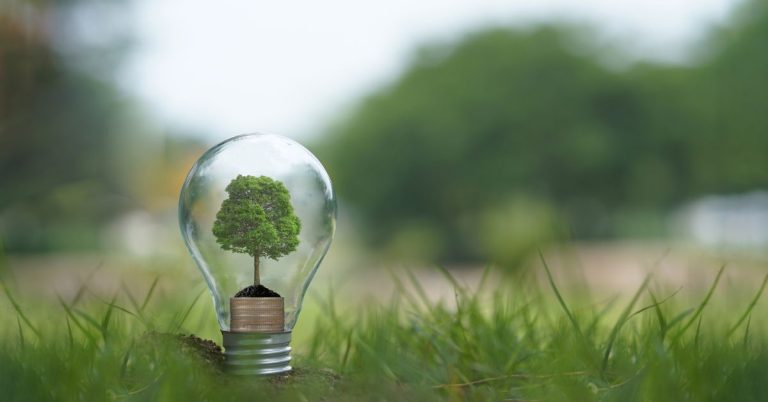 Read more about the article Environmental and Climate-Centric Contractual Obligations on the Rise